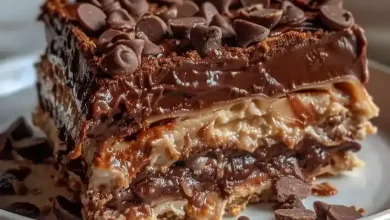 Chocolate Peanut Butter Lasagna
