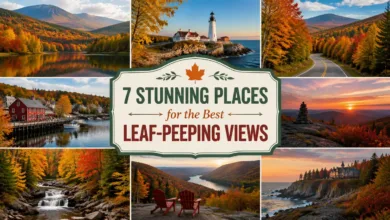 Maine in the Fall: 7 Stunning Places for the Best Leaf-Peeping Views Maine in the Fall: 7 Stunning Places for the Best Leaf-Peeping Views